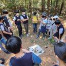 석성초등학교 이미지