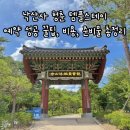 충청건어물 | [국내 여행 | 강원도 양양] 바다 뷰가 멋진 낙산사 청춘 템플스테이 : 예약 성공 꿀팁, 비용, 준비물...