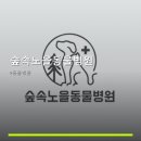 수노을동물병원 | 숲속노을동물병원 진료 과목 및 이용 안내