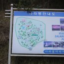 제주항식당 이미지