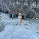 철수야학교가자 이미지