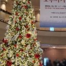 불가리아 바르나 국립발레 호두까기인형 네이버블로그