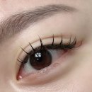 도아래쉬(Do.A lash) | 운정속눈썹 실력좋은 산내마을 우아래쉬에서 마스카라연장