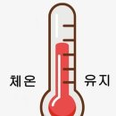 마징가텔레콤
