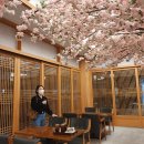 큐스테이지피씨카페 | 진정한 여름이 오기 전