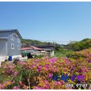 자타공인중개사사무소 이미지