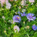 노령산장 이미지