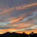 등나무 운동장 이미지