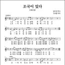 조국이 있다 (1981년, 윤수천 작사, 전석환 작곡) 이미지