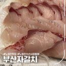 [서울] 노량진 수산시장 부산자갈치 방어 모듬회 / 5층 하늘채광장 이용후기