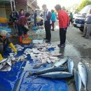 삼척번개시장 이미지