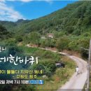 호호밥상 네이버블로그