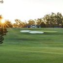 롯데관광㈜ 이미지