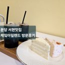 불정로386번길 | [분당 서현맛집] 건강한 수제케이크 맛집, 케잌아일랜드