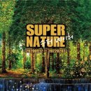 수퍼(SUPER)짱