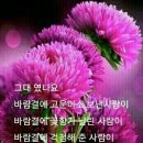 민채