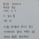 화양품