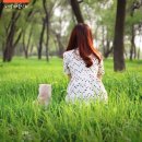 잔디마당 콘서트 티스토리