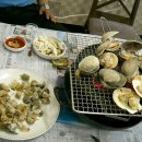 아영골 Daum카페
