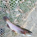 승안낚시터 이미지