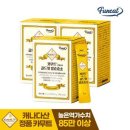 골드핏