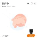 아인포유스튜디오 | 임신기록4) 임산부중기영양제/기초화장품내돈내산/성별공개🩷💙/중기정밀초음파