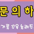 개네가고양이네