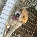 금빛물결펜션 이미지