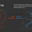 비플렉스