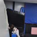 월드태권도장 이미지