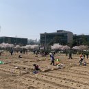 친환경나눔텃밭 이미지