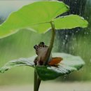 해피안 | 연로하신 부모님 위해 은평구 요양원 추천 해피안 해피안, 믿고 맡길 수 있는