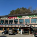 일송정 | 평창 휘닉스파크 근처 맛집 대관령한우 일송정 솔직 후기