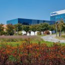 두류공원로 이미지