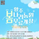 서울근교 명소] 봄 유채꽃과 청보리를 한 번에 즐길 수 있는 “양주 나리농원” 봄 무료개장 막차 탑승후기