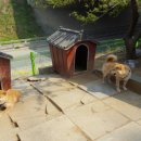 양근카센타 이미지