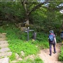 CU북한산효자사랑점 | [20250824] 북한산 쫑피서산행(효자농원-서암문-원효암-원효봉-북문-개연폭포-보리사-북한산성계곡-중성...