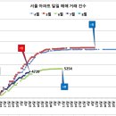 8월 11일 거래 건수 이미지