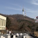 하늘작은도서관 | 남산타워 바로 앞 서울 가볼만 한 곳, 남산도서관 옥상 정원 하늘뜰, 무료 주차 정보, 대중교통 이용법