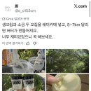 엠티글로벌 | 후딱 쓰는 6월 결산