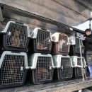 이송농장 이미지