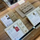 모쪼록 | W4. 청담 트라비체, 내돈내산 예물 후기 🤍💍