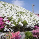 레이크힐스골프장 이미지