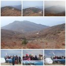 여천공용터미널 이미지