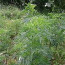 충우농장 이미지