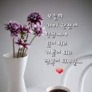 차한잔
