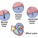 강남애니동물병원 이미지