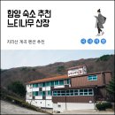 느티나무산장 이미지