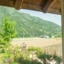 쟁여울황토 이미지