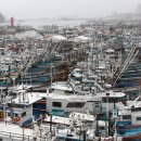 Sigh of relief as typhoon leaves no major damage 이미지